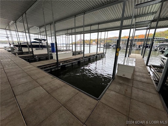 dock area with a water view