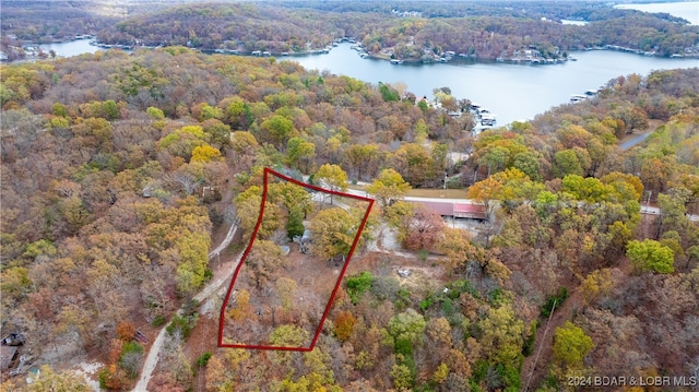 bird's eye view with a water view and a view of trees