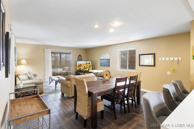 dining room featuring dark wood-type flooring