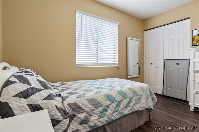 bedroom featuring dark hardwood / wood-style flooring