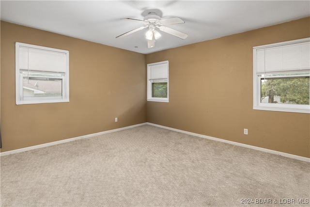 unfurnished room featuring light colored carpet and plenty of natural light