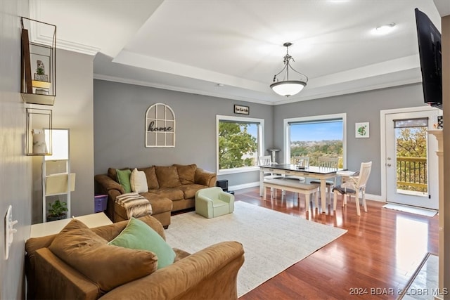 living room with a raised ceiling, crown molding, and light wood-type flooring