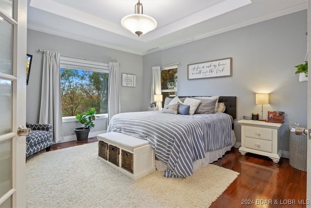 bedroom with a tray ceiling, dark wood-type flooring, and ornamental molding