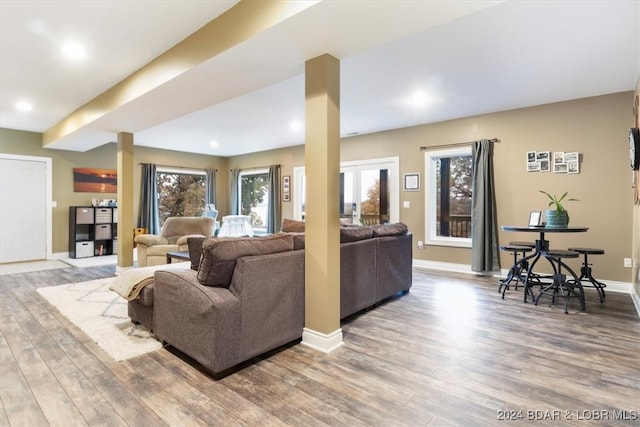 living room with hardwood / wood-style floors