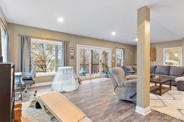 living room with wood-type flooring