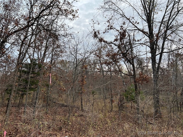 Partridge Dr, Climax Springs MO, 65324 land for sale