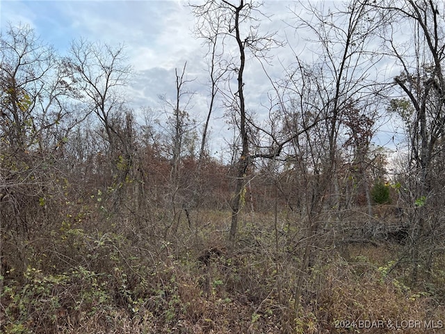 Listing photo 2 for Partridge Dr, Climax Springs MO 65324