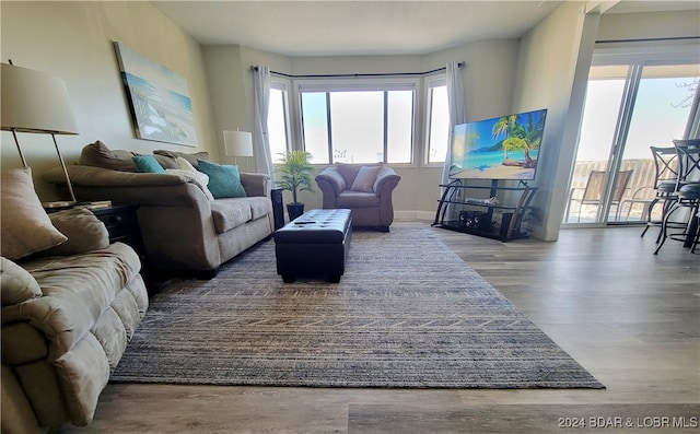 living room with wood-type flooring