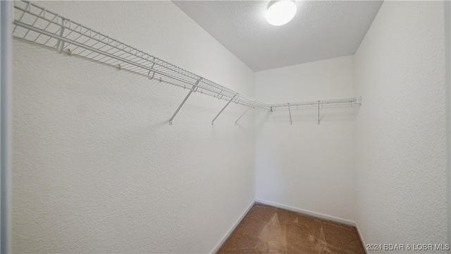 walk in closet with carpet