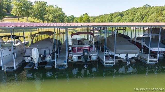 dock area with a water view