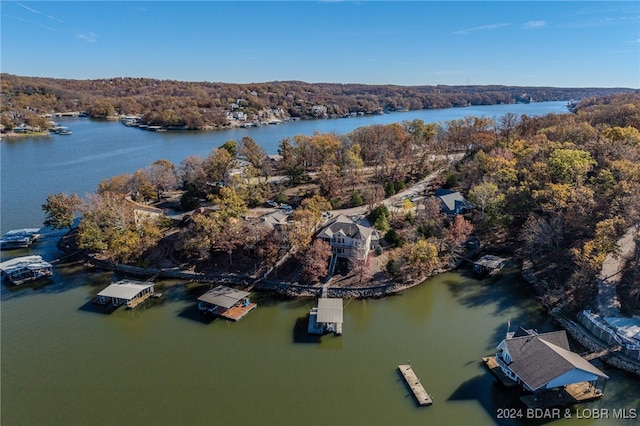 bird's eye view with a water view