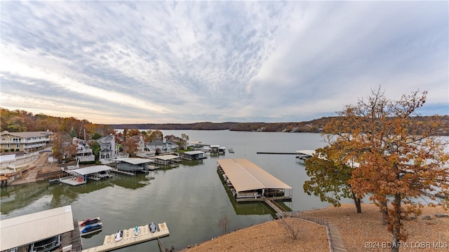 dock area with a water view