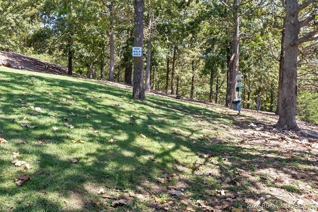2500 Bay Point Ln Unit 645, Osage Beach, MO 65065 - view of green lawn