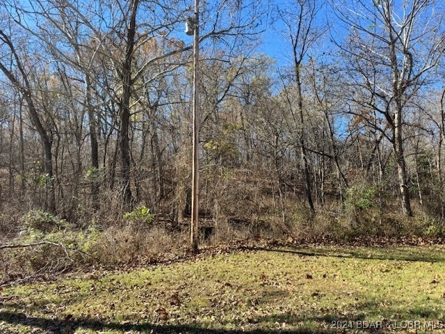 Listing photo 3 for TBD Winding Tree Dr, Camdenton MO 65020