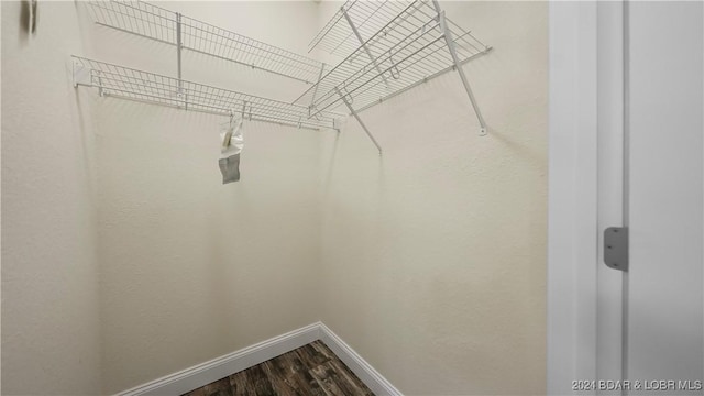spacious closet featuring dark wood finished floors