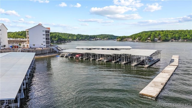 60 Knox Rd Unit Z204, Rocky Mount, MO 65072 - dock area with a water view and a forest view