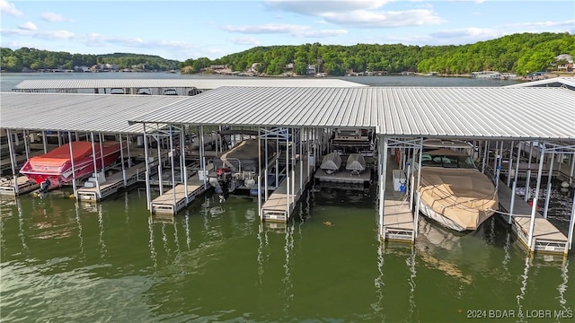 60 Knox Rd Unit Z204, Rocky Mount, MO 65072 - dock area with boat lift and a water view