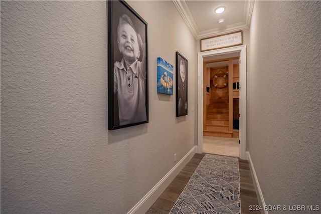 hallway featuring ornamental molding and dark wood-type flooring