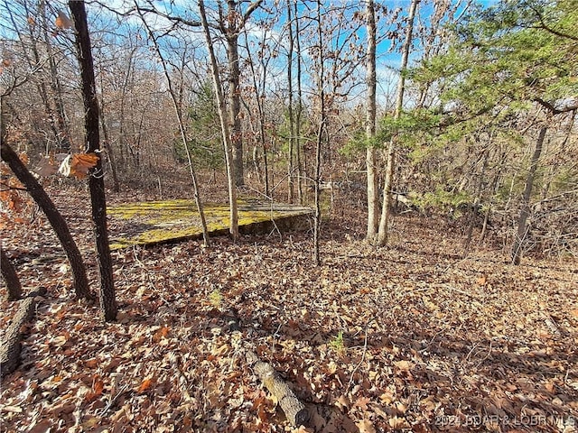Cactus Rd, Rocky Mount, MO 65072