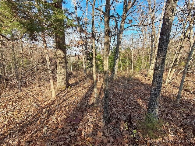 Cactus Rd, Rocky Mount, MO 65072