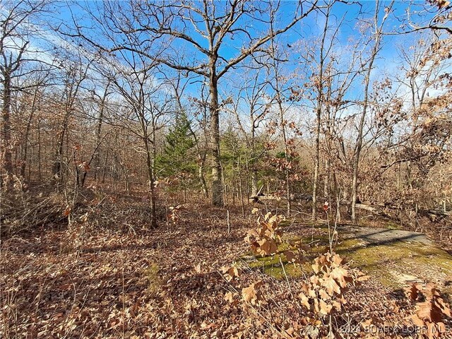 Cactus Rd, Rocky Mount, MO 65072