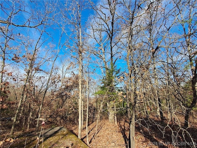 Cactus Rd, Rocky Mount, MO 65072