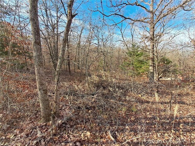 Cactus Rd, Rocky Mount, MO 65072