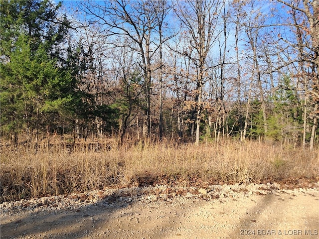 Cactus Rd, Rocky Mount MO, 65072 land for sale