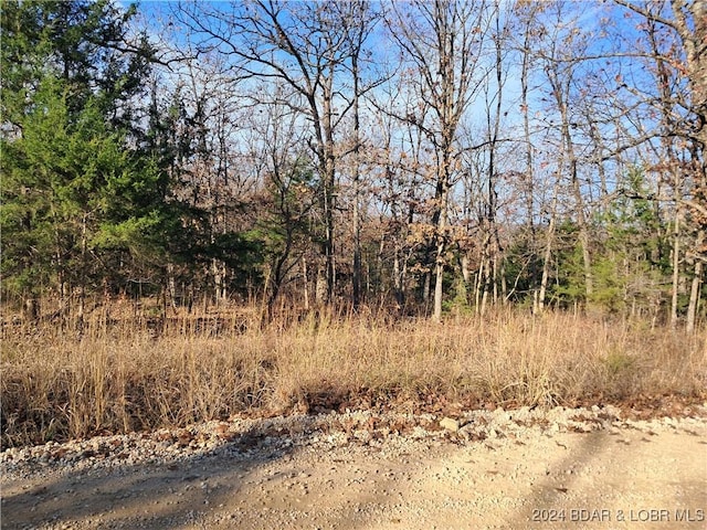 Cactus Rd, Rocky Mount, MO 65072