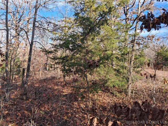 Cactus Rd, Rocky Mount, MO 65072