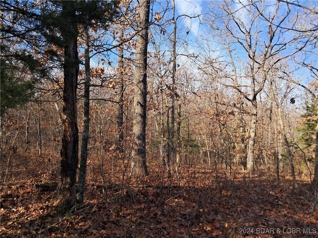 Cactus Rd, Rocky Mount, MO 65072