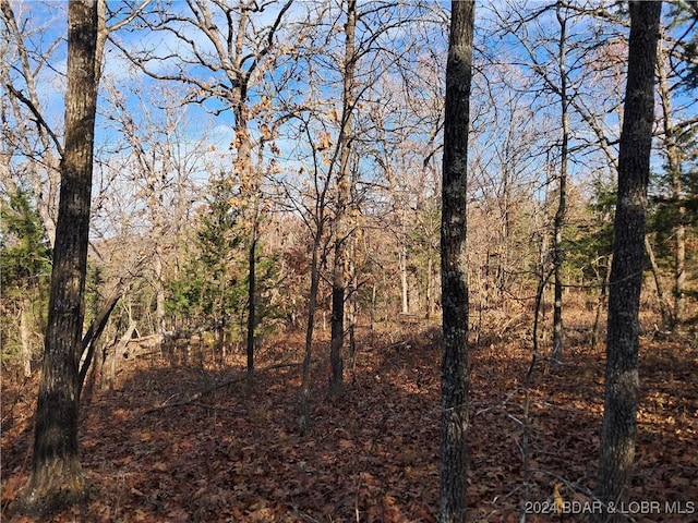 Cactus Rd, Rocky Mount, MO 65072
