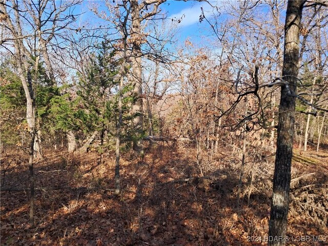 Cactus Rd, Rocky Mount, MO 65072