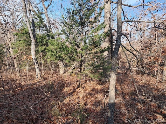 Cactus Rd, Rocky Mount, MO 65072