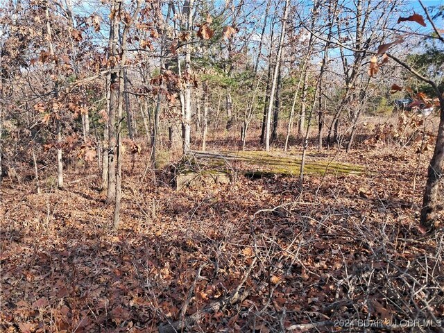 Cactus Rd, Rocky Mount, MO 65072