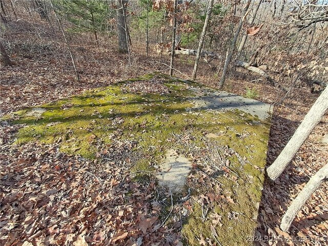 Cactus Rd, Rocky Mount, MO 65072