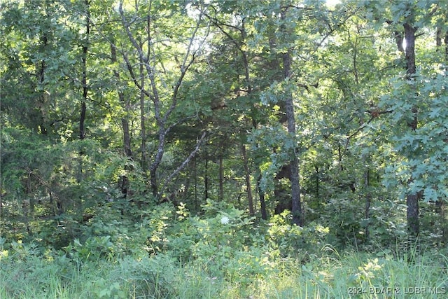 Cactus Rd, Rocky Mount, MO 65072 - photo 21