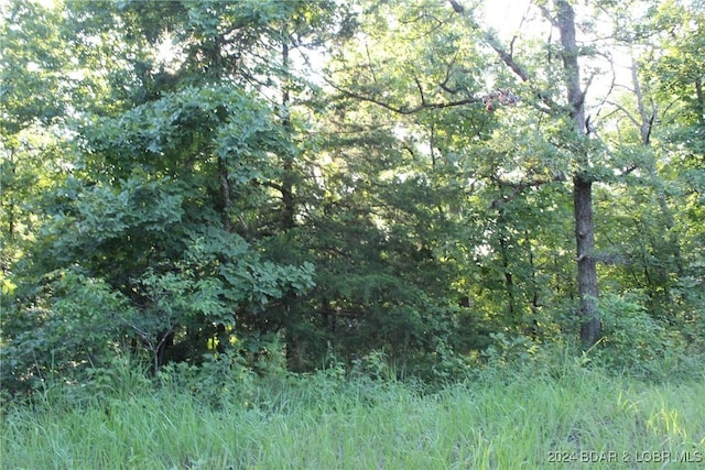 Cactus Rd, Rocky Mount, MO 65072 - photo 22