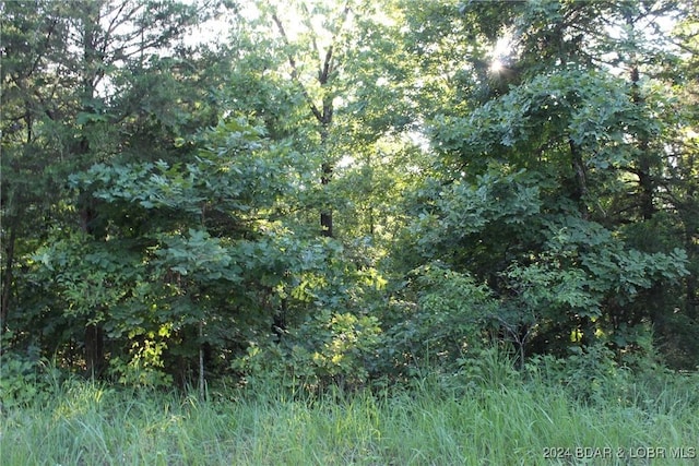 Cactus Rd, Rocky Mount, MO 65072 - photo 24