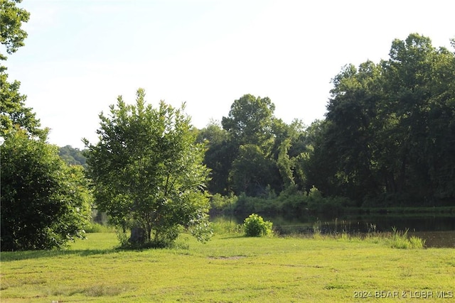 Cactus Rd, Rocky Mount, MO 65072 - photo 7