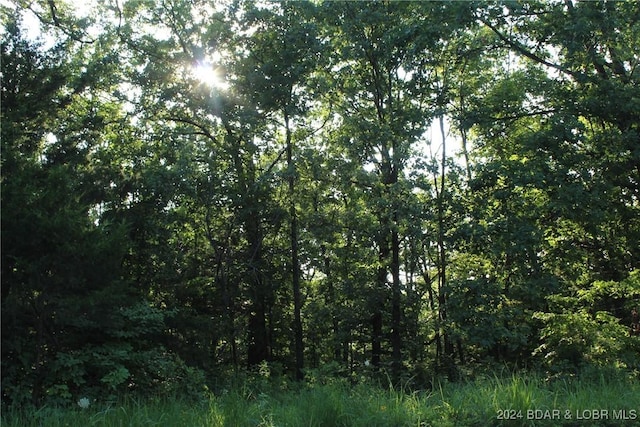 Cactus Rd, Rocky Mount, MO 65072 - photo 18