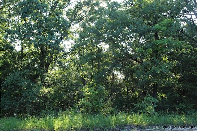 Cactus Rd, Rocky Mount, MO 65072 - photo 19