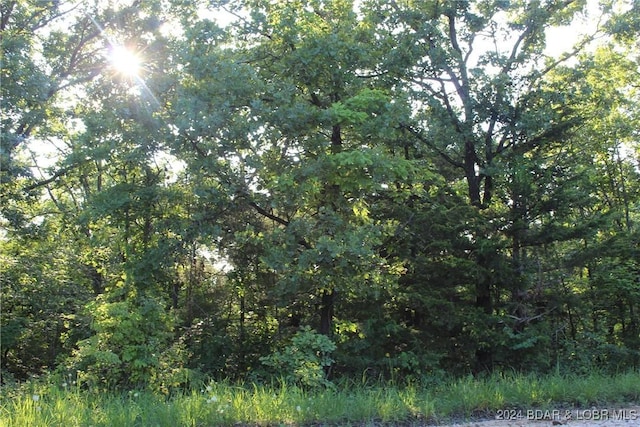 Cactus Rd, Rocky Mount, MO 65072 - photo 20