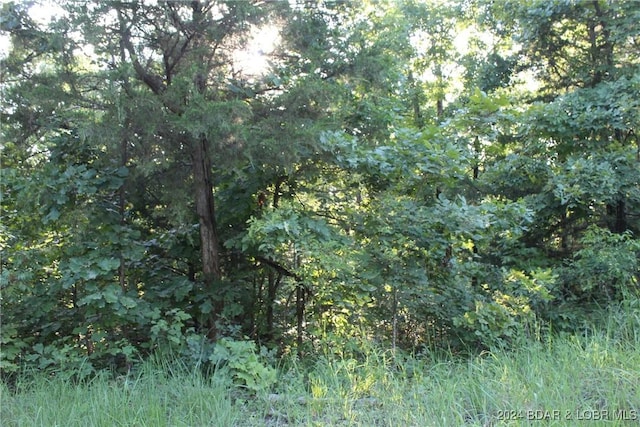 Cactus Rd, Rocky Mount, MO 65072 - photo 23