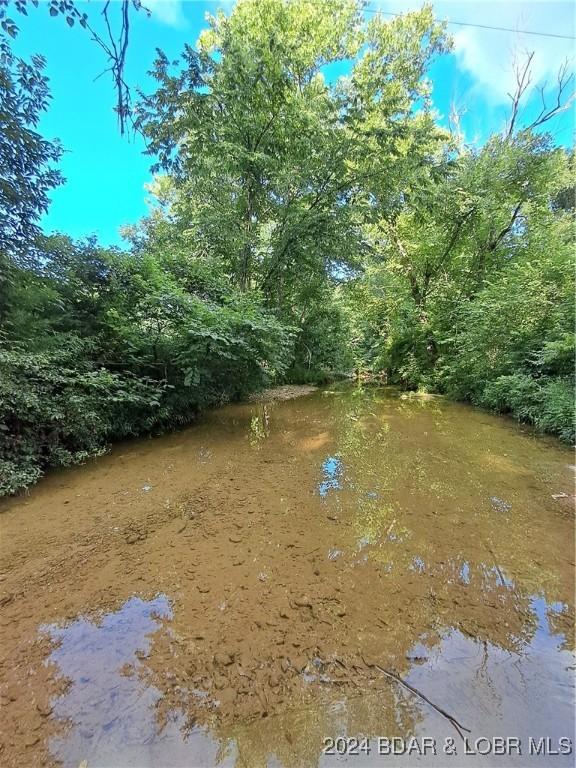 Cactus Rd, Rocky Mount, MO 65072 - photo 3