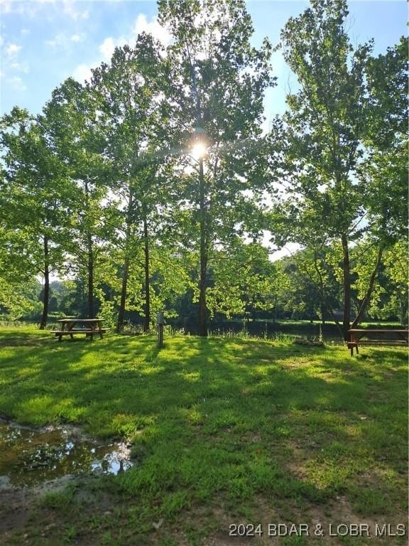 Cactus Rd, Rocky Mount, MO 65072 - photo 10