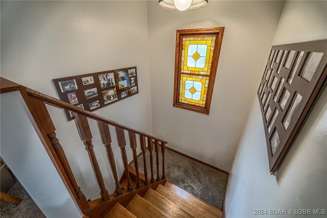 stairs featuring carpet floors and baseboards