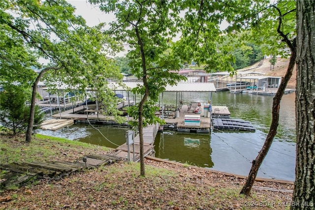 dock area with a water view