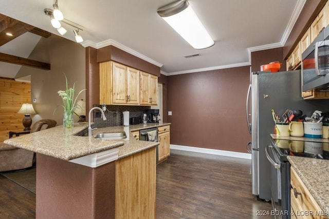 kitchen featuring sink, light brown cabinetry, dark hardwood / wood-style flooring, kitchen peninsula, and stainless steel appliances