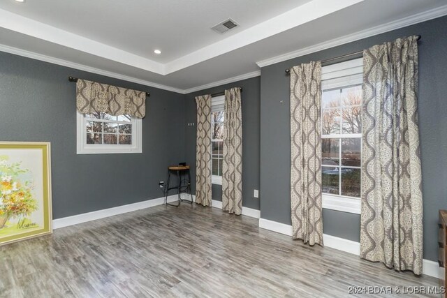 empty room with hardwood / wood-style floors, a raised ceiling, a wealth of natural light, and crown molding